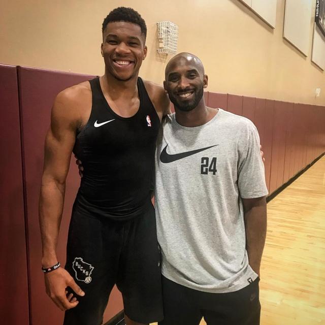 本届赛事的 本届赛事的